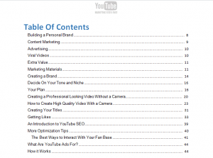 2016 03 29 1141 300x223 - Table of Contents Youtube Marketing Excellence