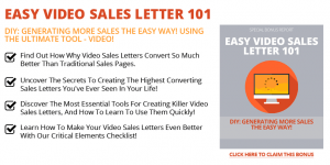 2016 06 27 1438 300x150 - Easy Video Sales Letter 101