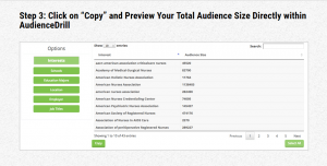 2016 08 09 1103 001 300x152 - Step 3 Interests Audience Drill Tool