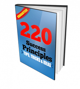 cover3d 1428410767 271x300 - 220 Success Principles Book Cover