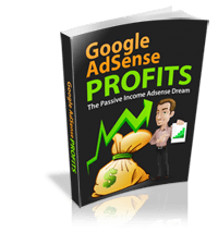 Image of Google Adsense Training