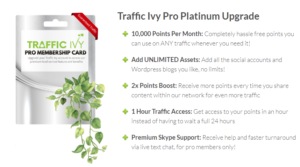 2019 01 24 0028 300x167 - The New Traffic Ivy Tool - A Review and Demo of Front End, Upsells, and Bonuses