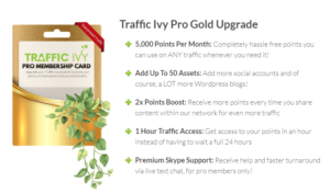 2019 01 24 0028 001 300x176 - The New Traffic Ivy Tool - A Review and Demo of Front End, Upsells, and Bonuses